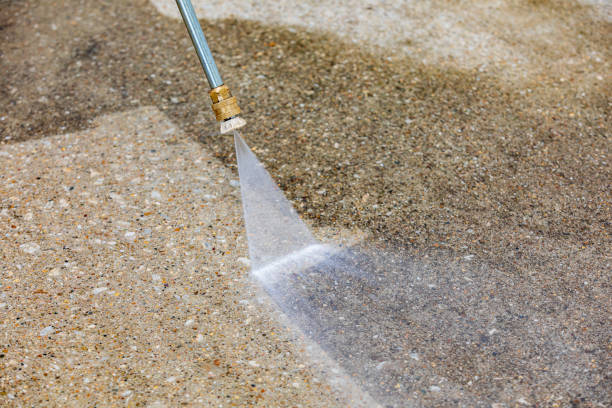 Best Roof Cleaning and Mildew Removal in Carthage, IL