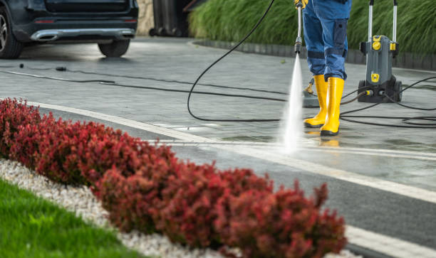 Best Residential Pressure Washing in Carthage, IL